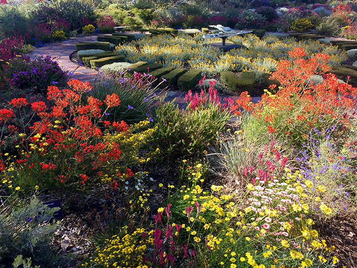 Flowers Pathway