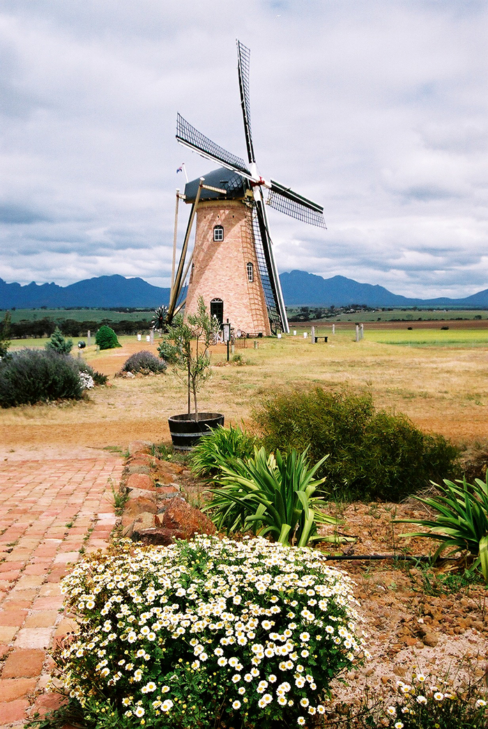 Windmill