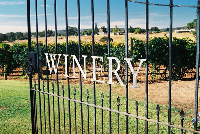 Winery