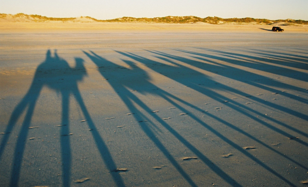 Shadows in the Sand